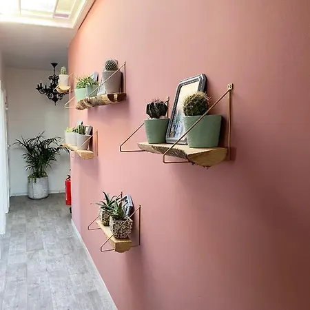 アパート Groot Op Wandelafstand Van Zee *